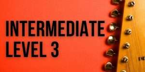 Intermediate Level 3