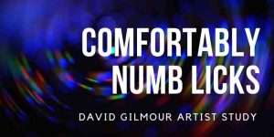 David Gilmour Comfortably Numb Licks