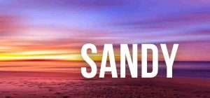 Sandy