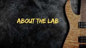 Box 3. About The Lab